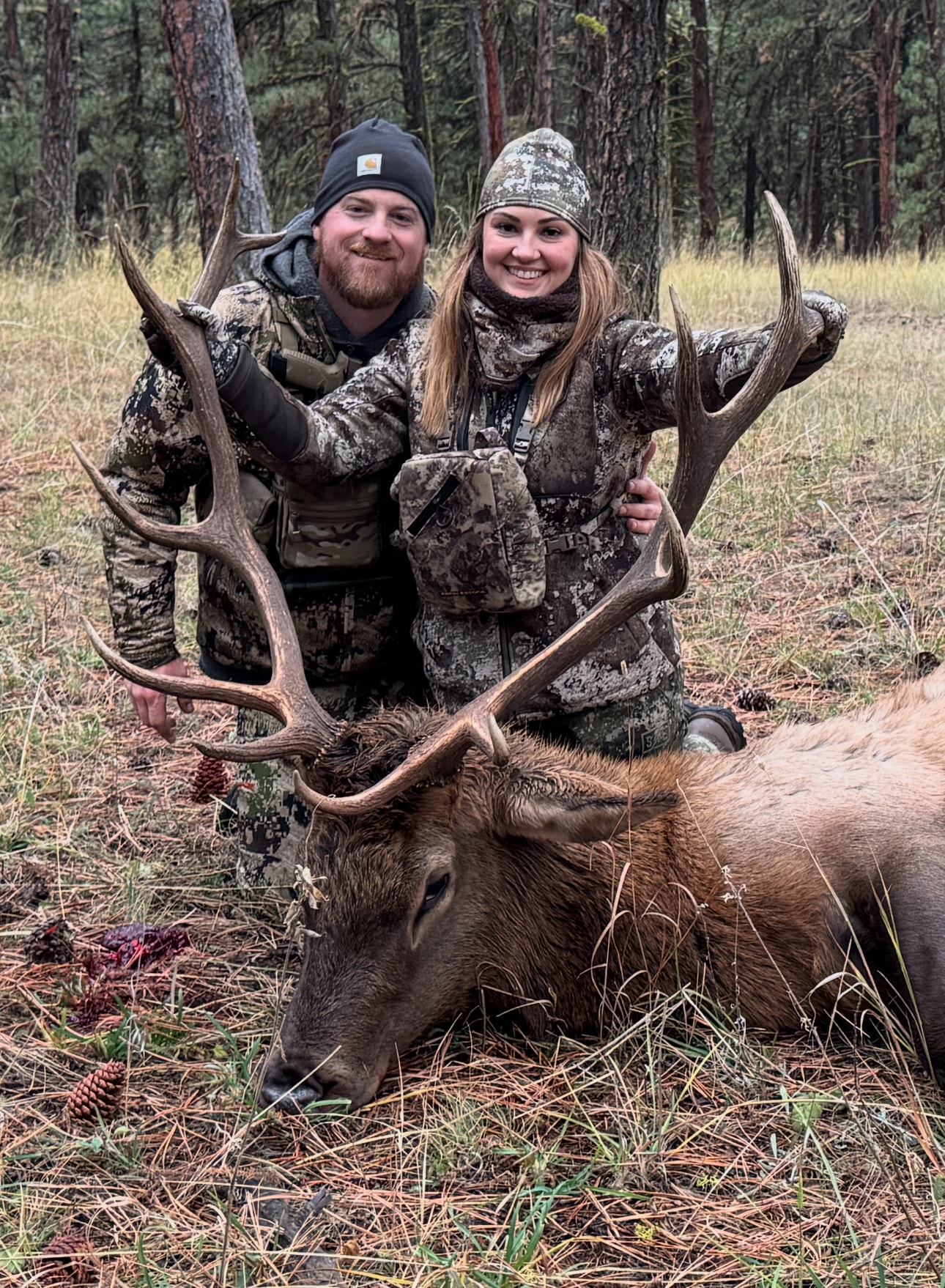 Bobby and Katie Connor with bull elk in pine forest