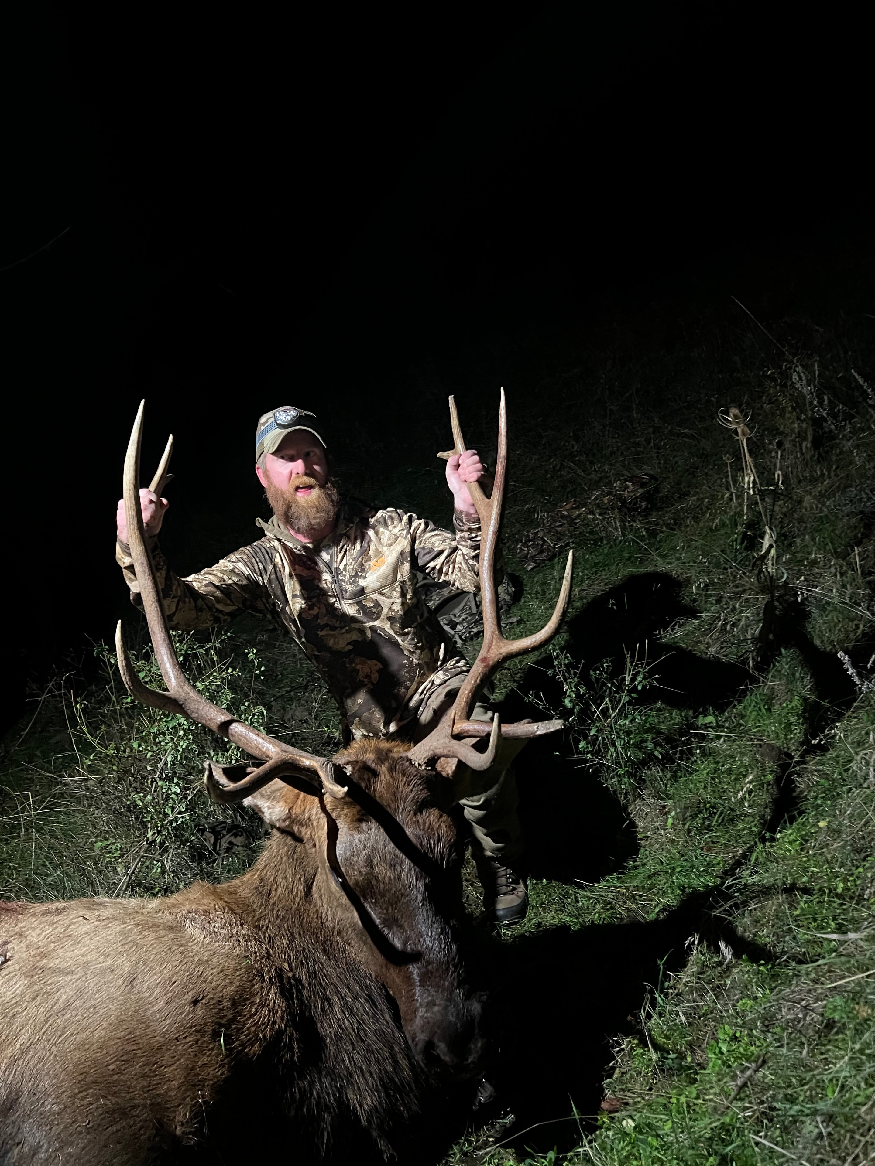 Night elk harvest with massive bull antlers
