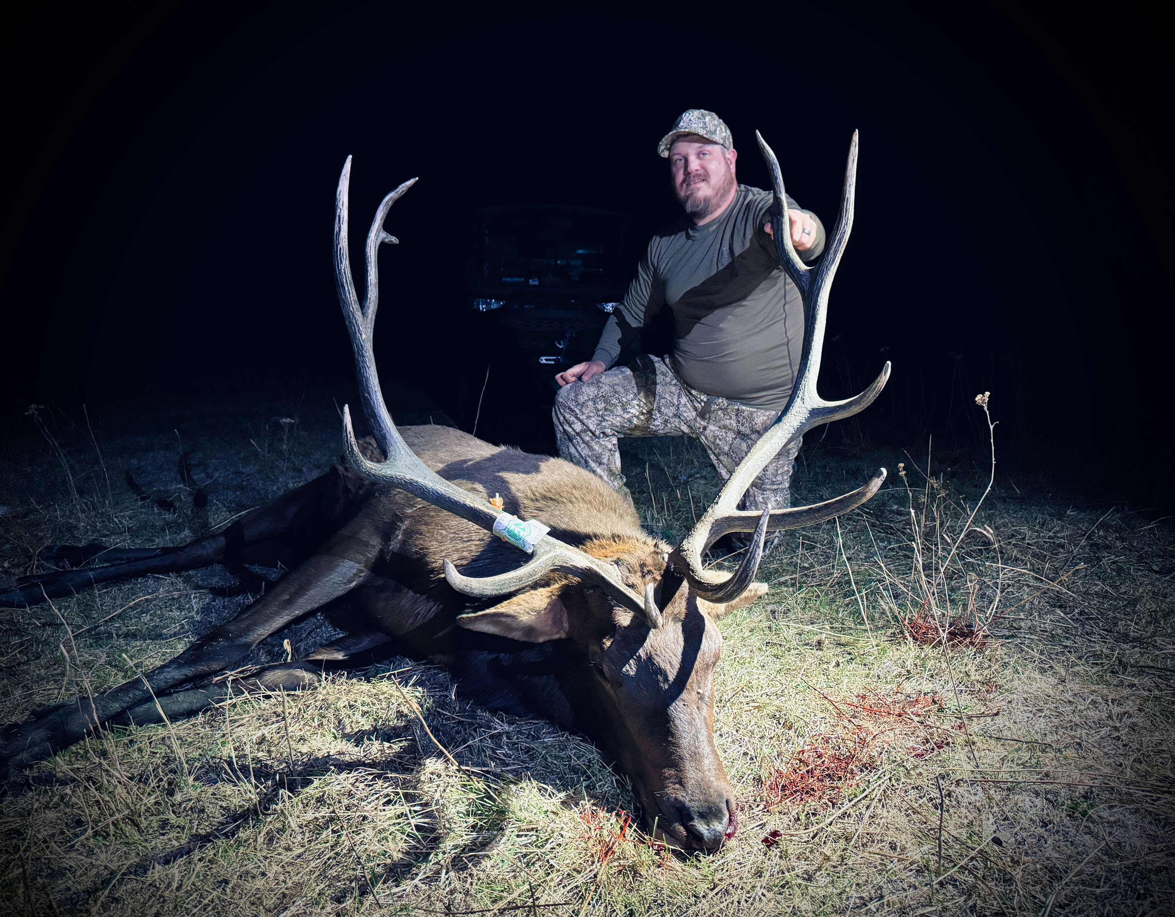 Hunter with massive bull elk under spotlight at night