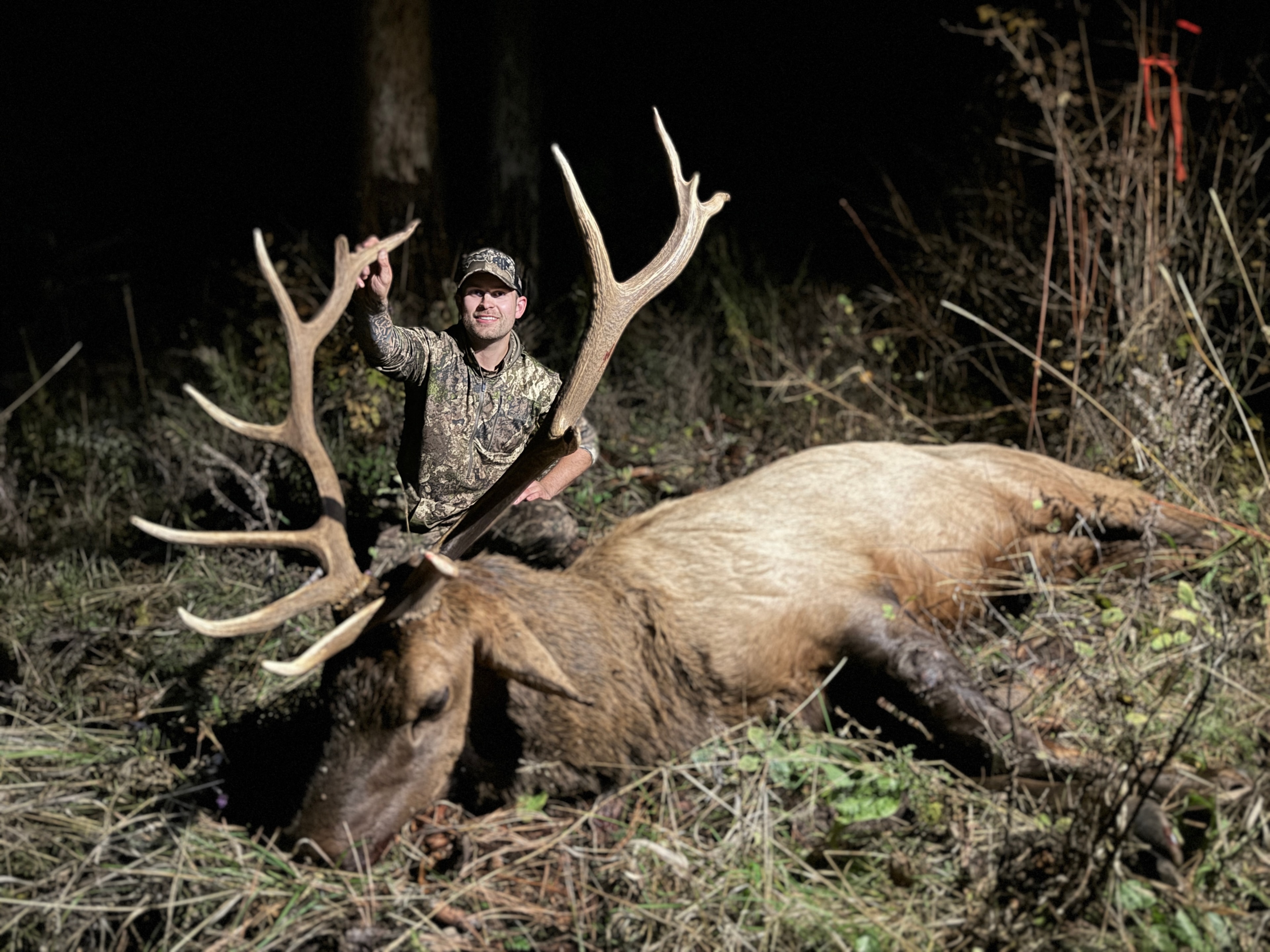 Hunter with bull elk harvest in the woods at night
