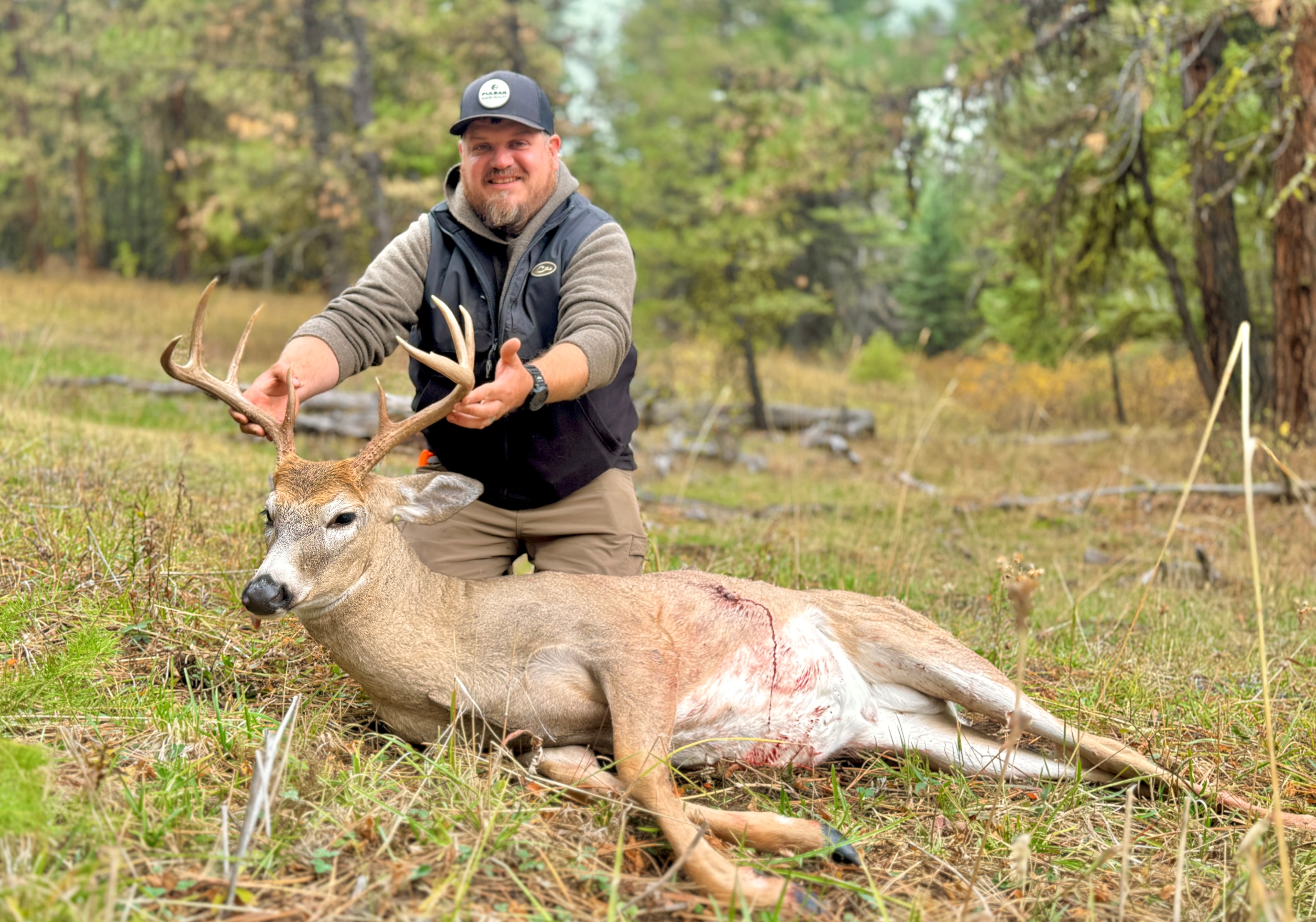 Hunter with whitetail buck in pine forest